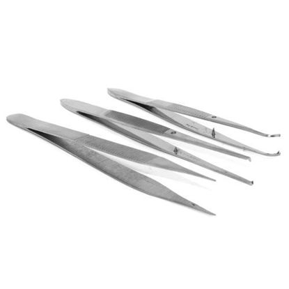 Picture of Tweezer Style Forceps                                       
