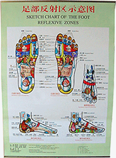 Picture of Chart, Foot - color with book