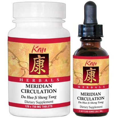 Picture of Meridian Circulation by Kan