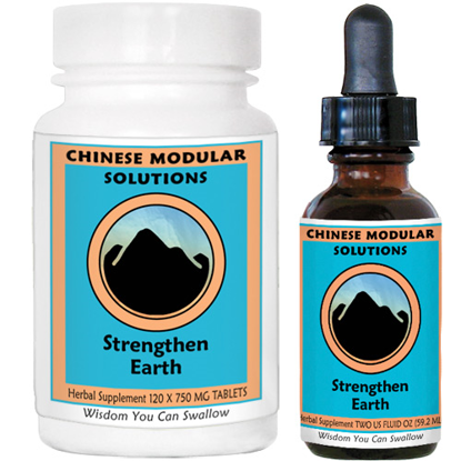 Picture of Strengthen Earth by Kan
