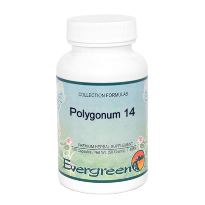 Picture of Polygonum 14 - Evergreen Capsules 100ct