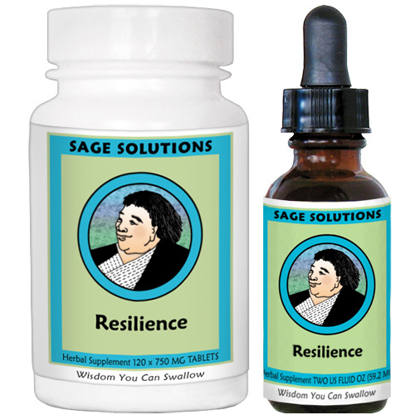 Picture of Resilience by Kan
