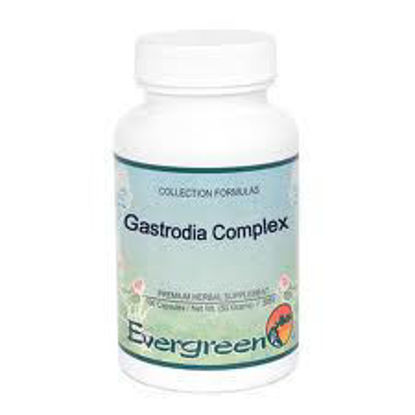 Picture of Gastrodia Complex - Evergreen Caps 100ct                    