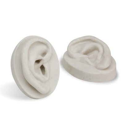 Picture of Ear Model Kit for Practice (Pair)                           