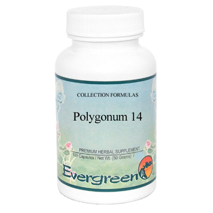 Picture of Polygonum 14 Granules 100g, Evergreen                       