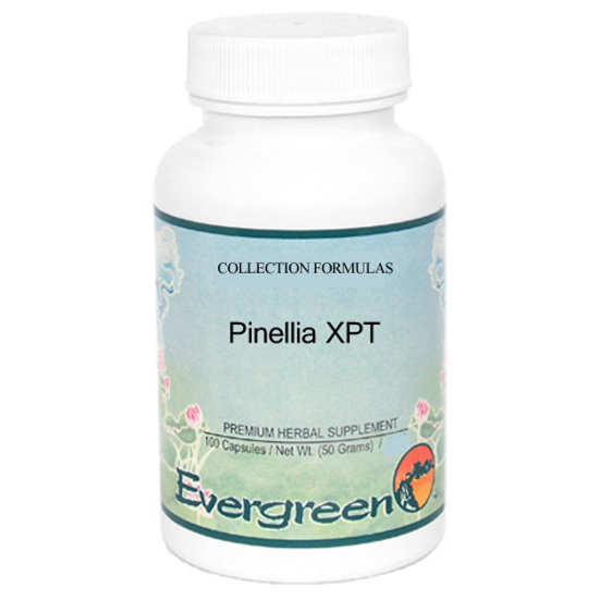 Picture of Pinellia XPT Granules 100g, Evergreen