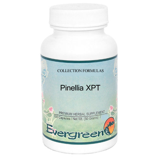 Picture of Pinellia XPT Granules 100g, Evergreen                       