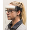 Picture of Face Shield Multi-Use