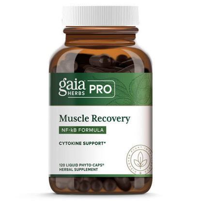 Picture of Muscle Recovery: NF-kB Formula 120 Caps, Gaia Professional  