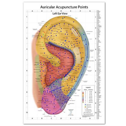 Picture of The World's Best Auriculotherapy Wall Chart